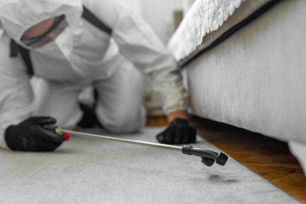 Professional Bed Bug Control technician working in Burnham, IL