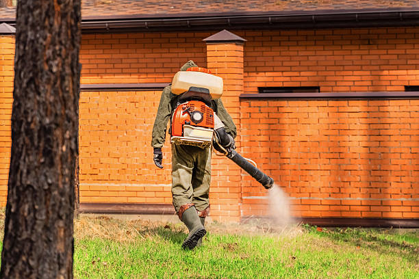 Top rated local Bed Bug Control specialists in Burnham, IL
